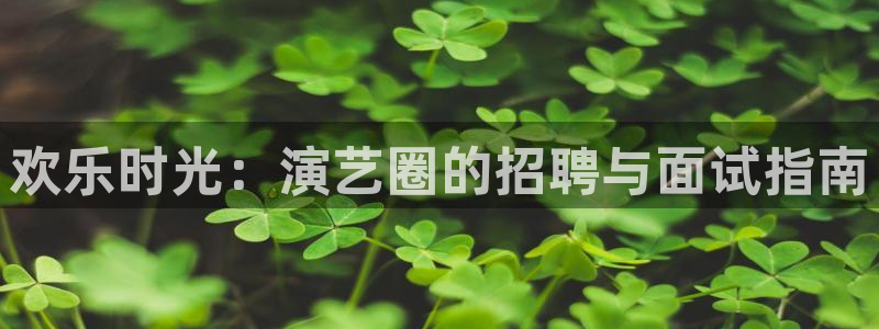 顺盈娱乐