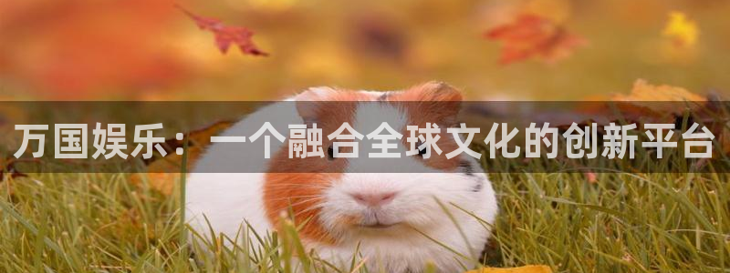 顺盈娱乐