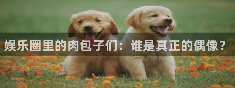 顺盈娱乐