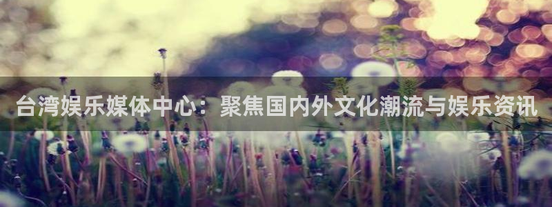 顺盈娱乐